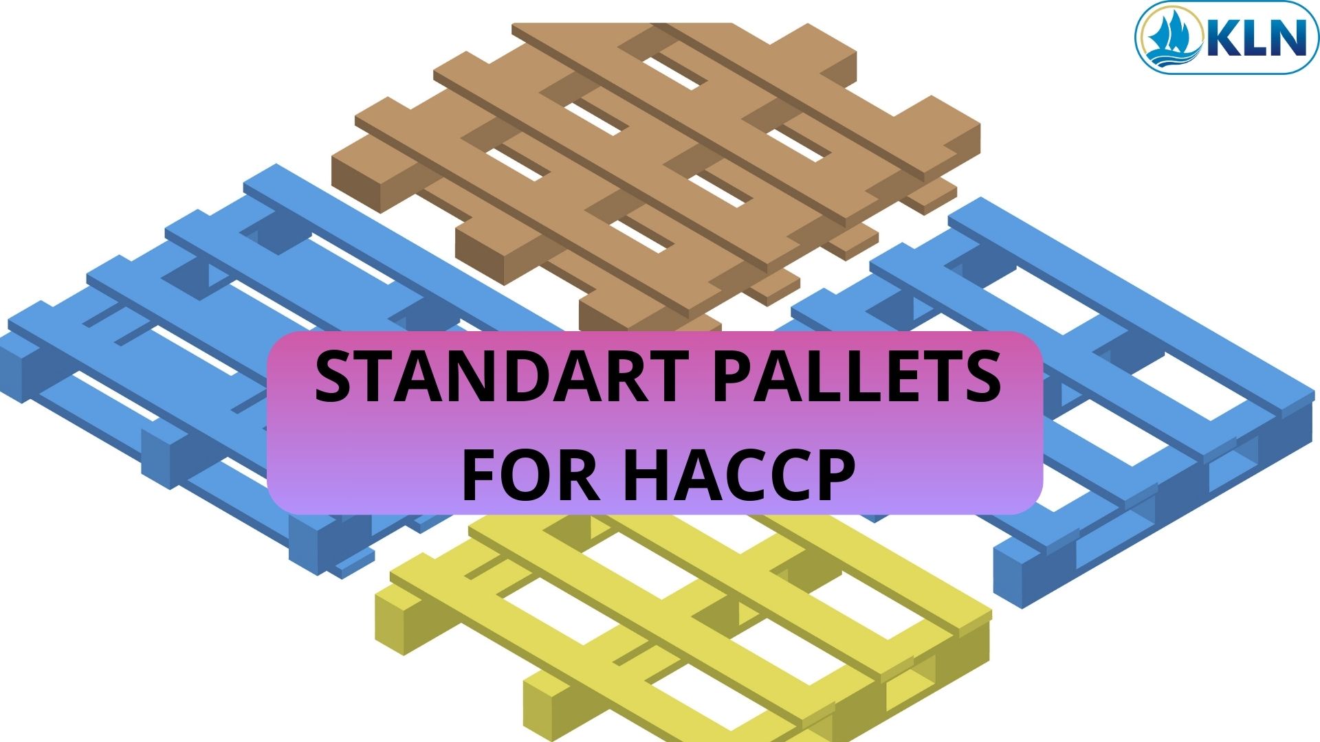 STANDART PALLETS FOR HACCP